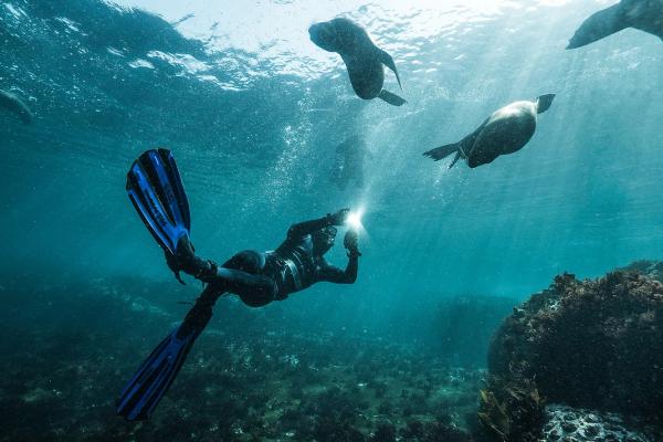 Adventure in the City | Ten “Out the Box” Things to do in Cape Town