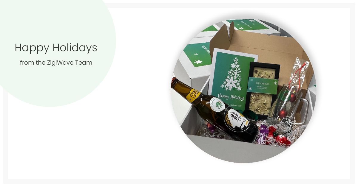 Holiday Greetings from the ZigiWave Team!