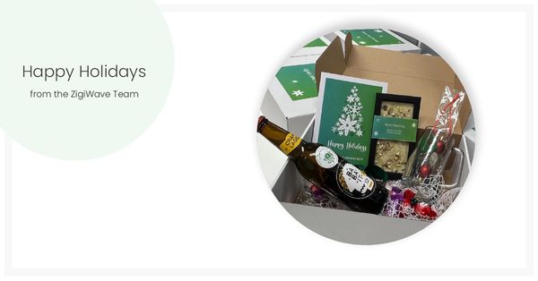 Holiday Greetings from the ZigiWave Team!