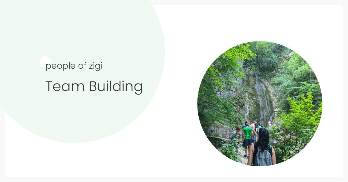 ZigiWave Team Building in Ribaritsa