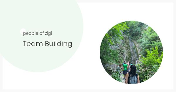 ZigiWave Team Building in Ribaritsa