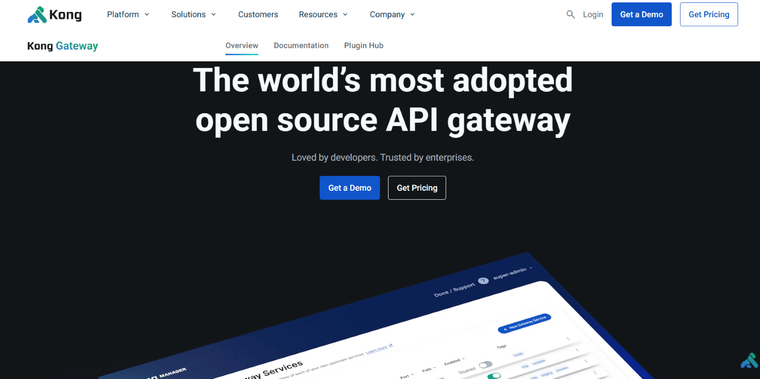 Kong website's landing page
