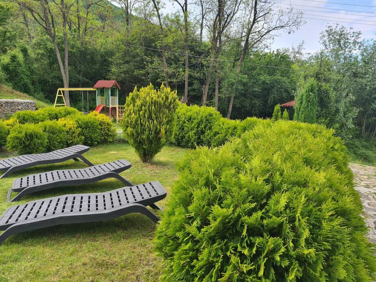 backyard-with-trees