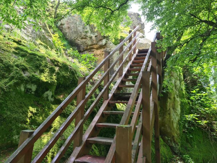 stairs-in-the-forest