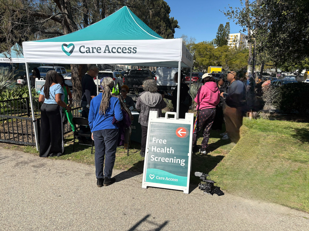 Black History Month Festival and Health Fair