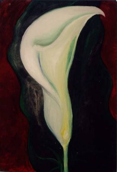 Calla