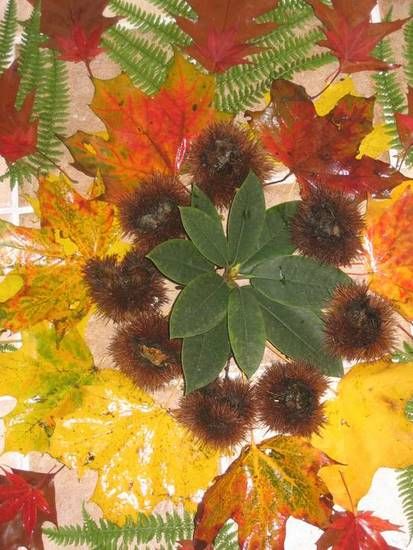 herfst-1