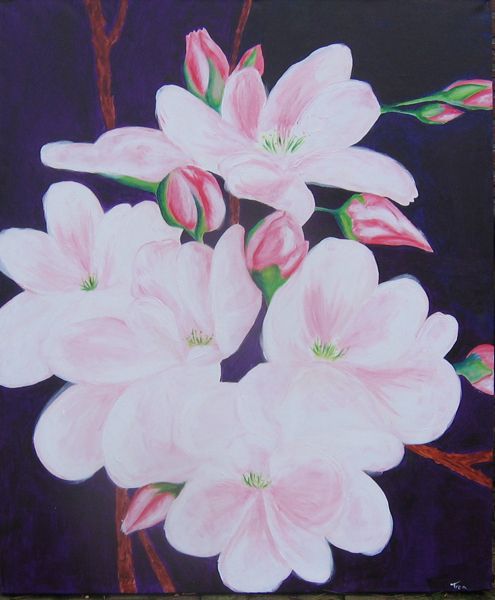 Japanese cherry blossom