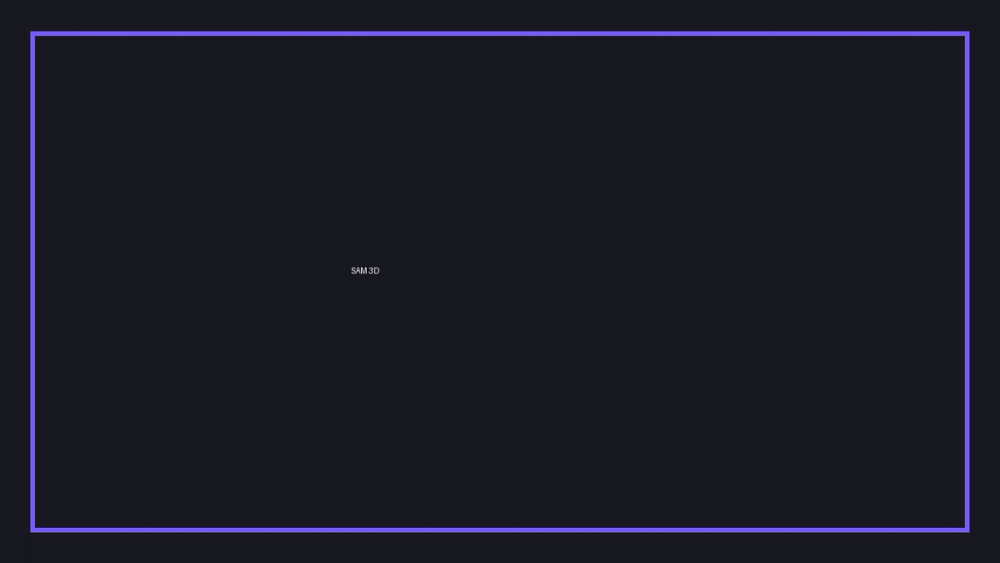 image of SAM 3D