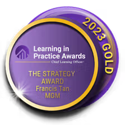 Chief Learning Officer Learning in Practice Awards – The Strategy Award