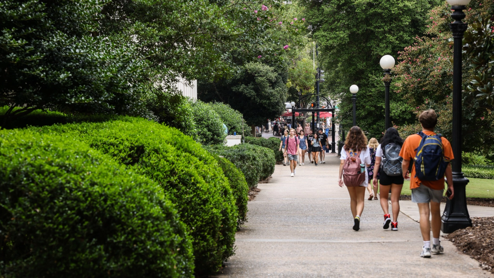 The University of Georgia (UGA) scores big time with Cornerstone Learn