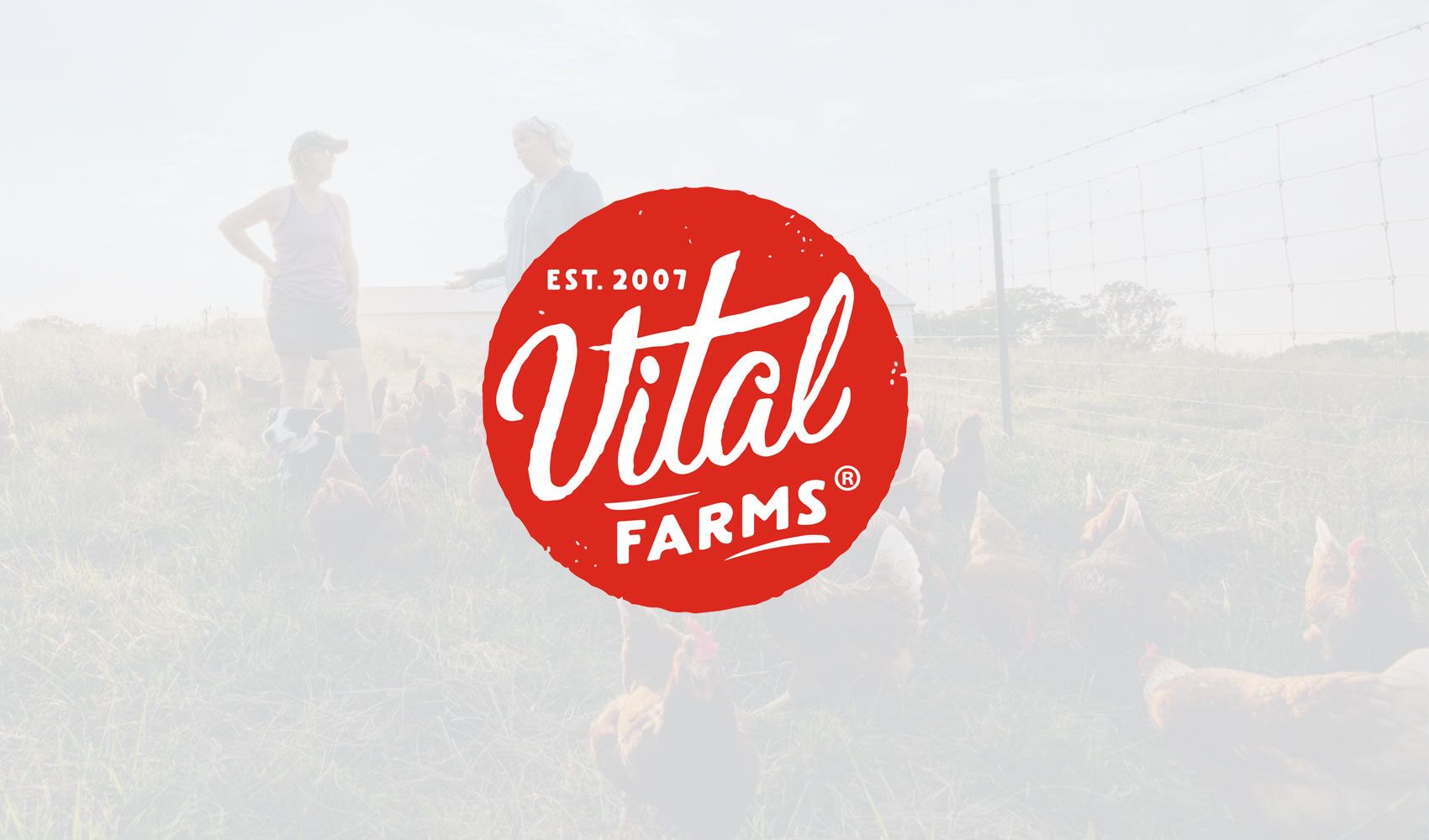 Vital Farms Customer Story