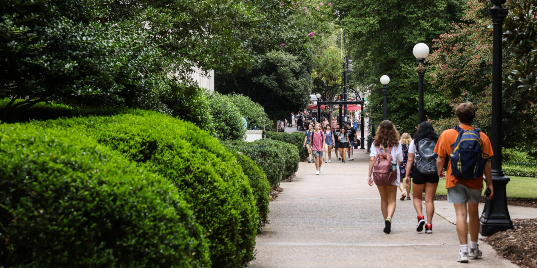 The University of Georgia (UGA) scores big time with Cornerstone Learn