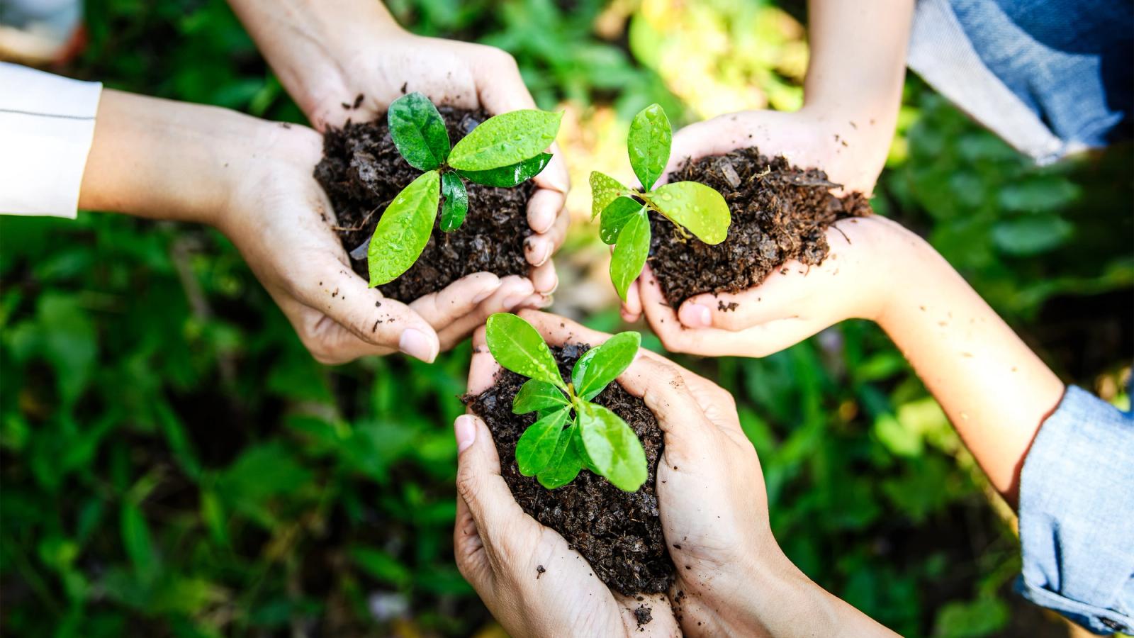 Sustainability in HR: The Evolution of Green HR Practices