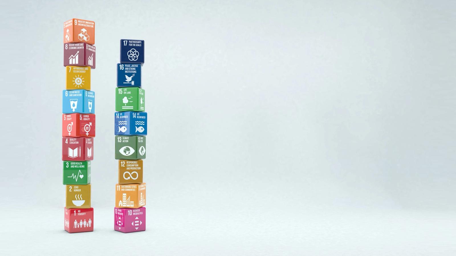 Vorausschauen, Verändern, Verinnerlichen – Auswirkungen von SDGs in Unternehmen
