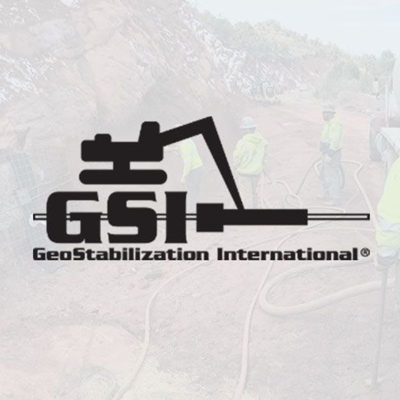 GSI Puts Learning and Development in the Hands of its Team Members
