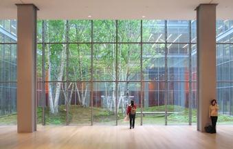 Bringing Mother Nature Indoors: 3 Simple Biophilic Office Designs to Boost Productivity