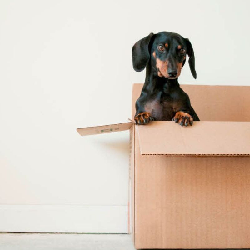 The Hidden Costs of Employee Relocation (and Why Employers Should Care)