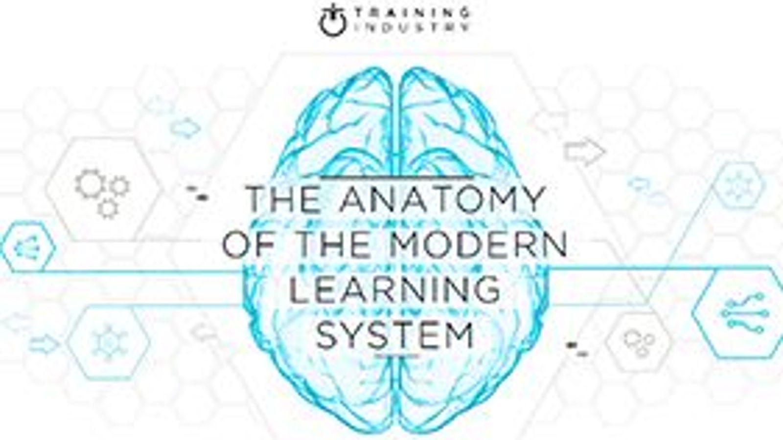 The anatomy of the modern learning system