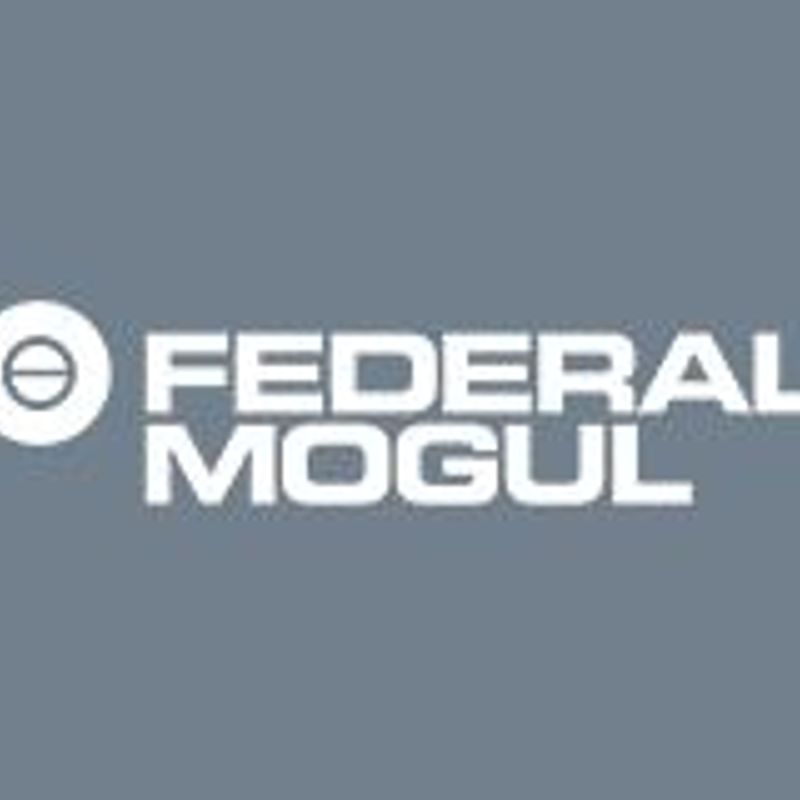 Federal mogul case study