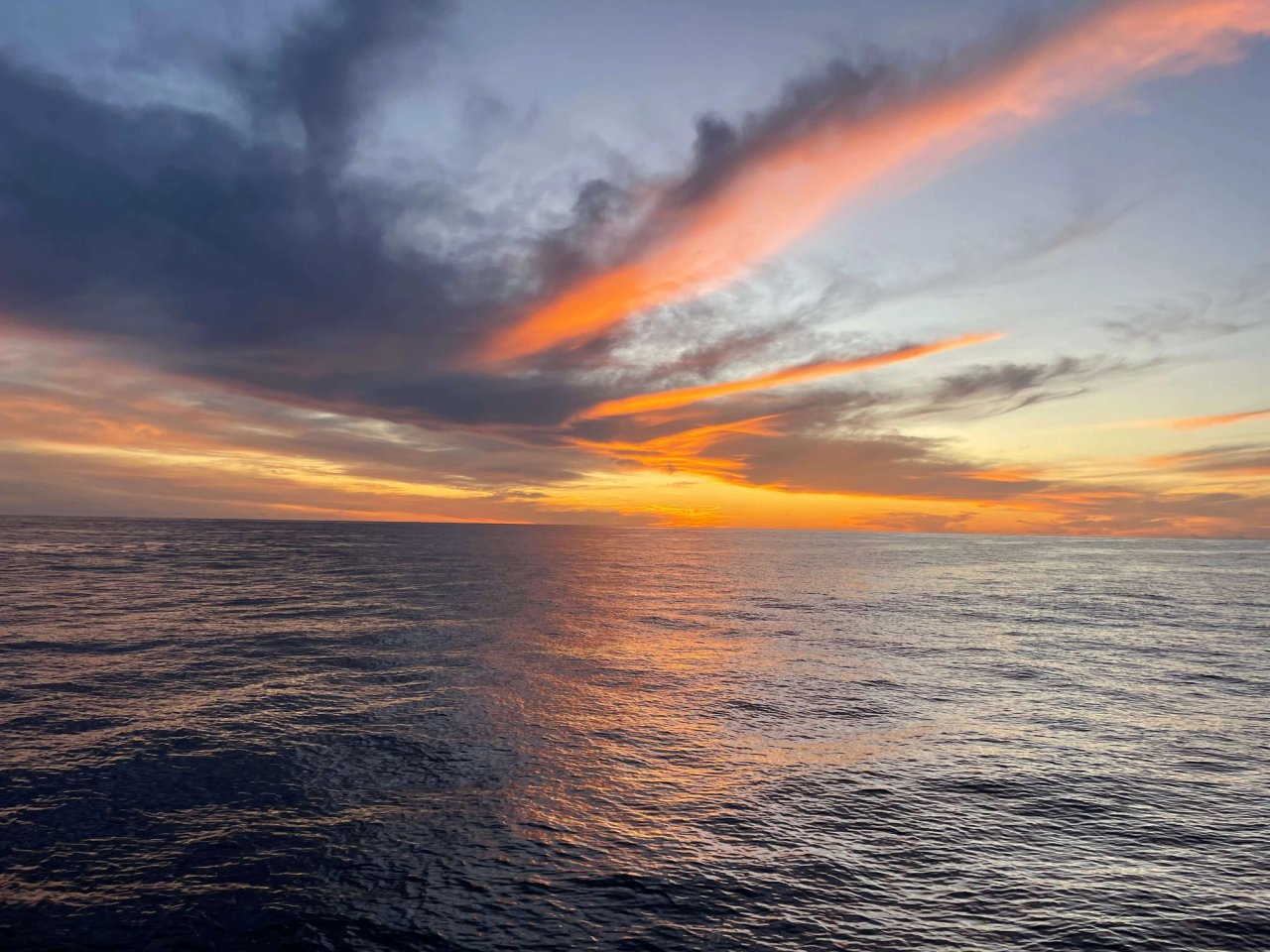 33: The Year of Leveling Up