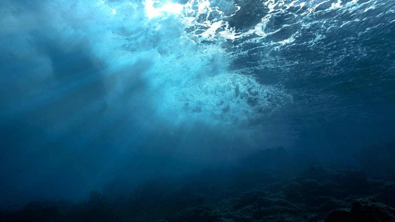 Diving - Discovering a Love for the Ocean