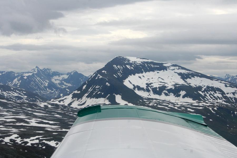 Vingetupp og fjell ut til høyre