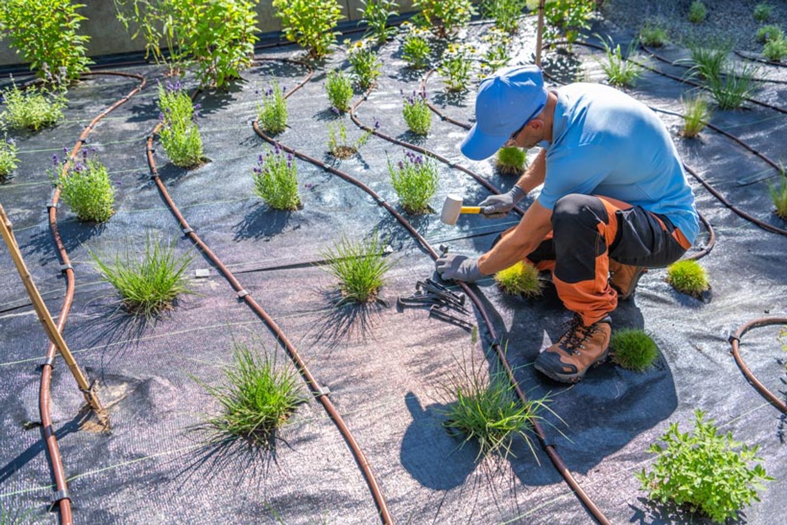 Irrigation Installation