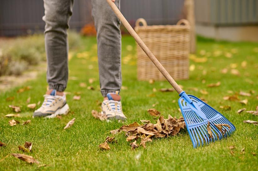 Yard Clean-Ups