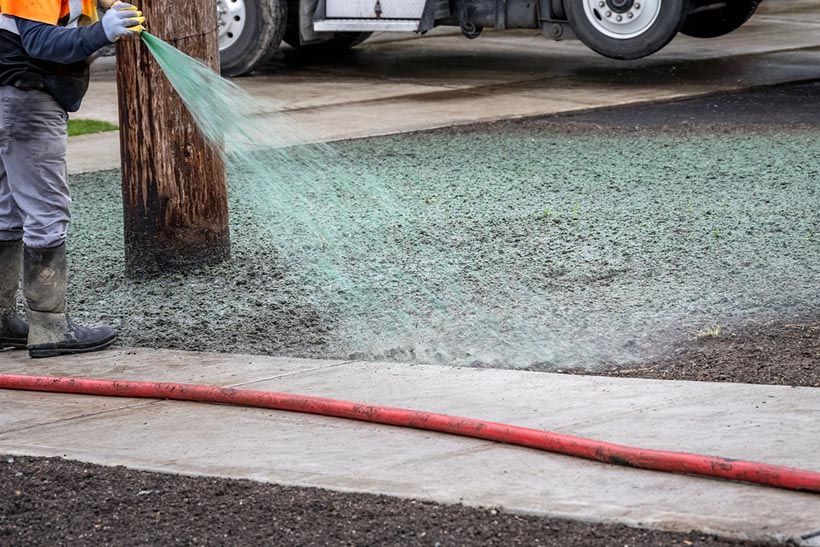Hydroseeding