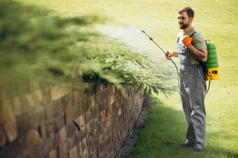 Bug Spraying