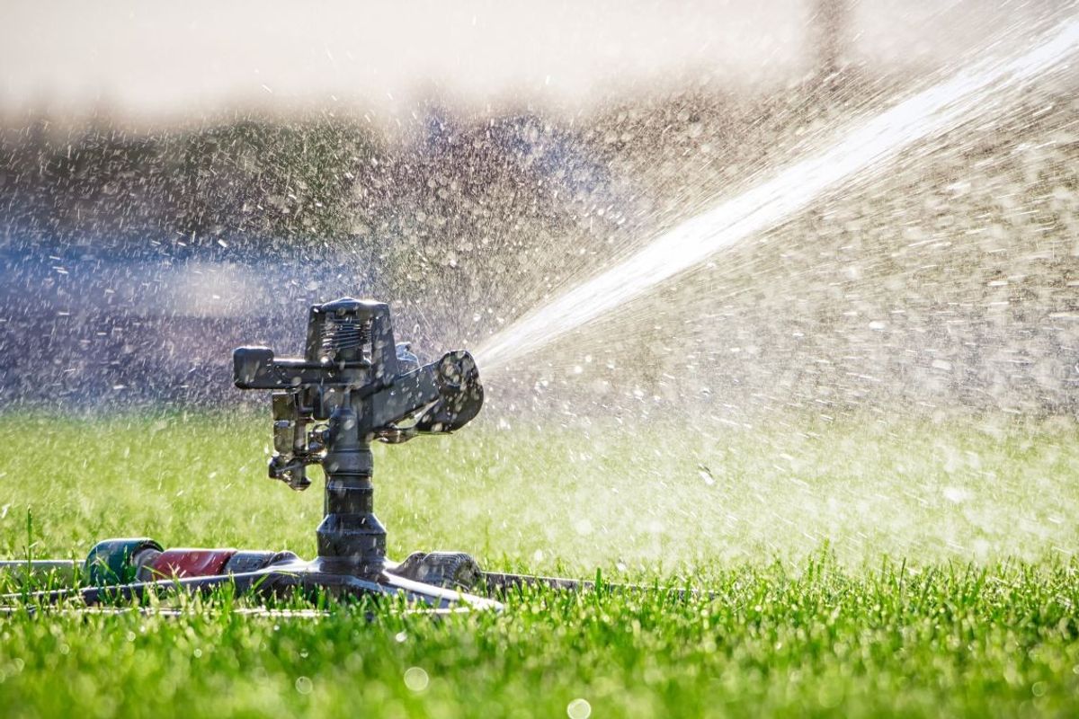 Drip vs. Sprinklers: The Best Irrigation Choice for Eastern Washington Yards