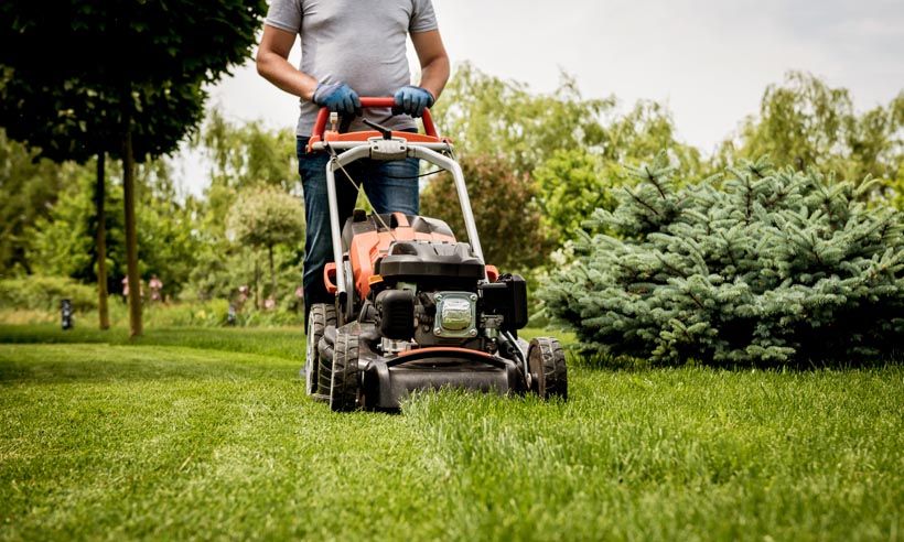 Lawn Mowing