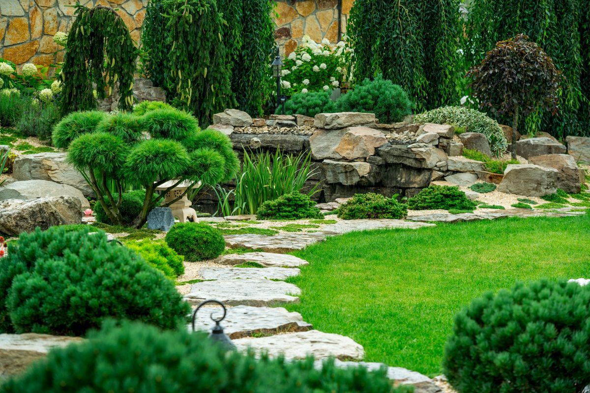 Top 7 Drought-Tough Plants for Low-Water Landscapes in Central WA