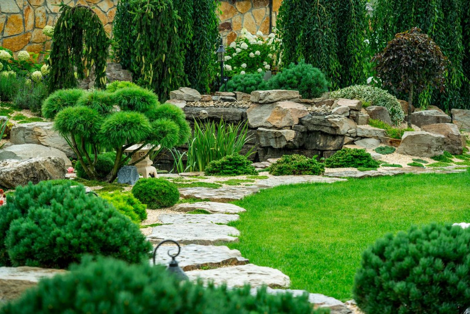 Top 7 Drought-Tough Plants for Low-Water Landscapes in Central WA