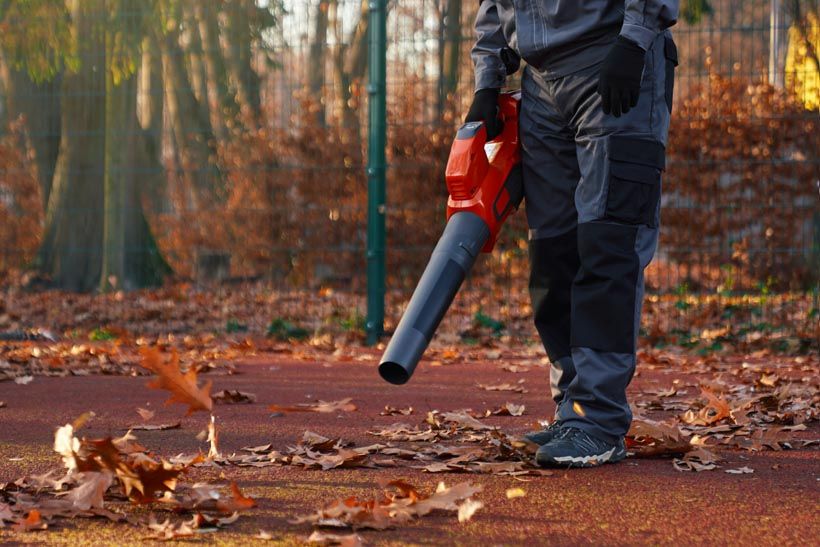 Leaf Blowing