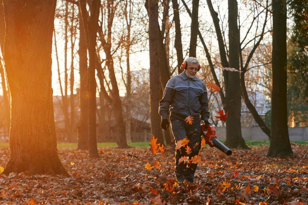 Fall Clean-Up Guide: Leaf Removal, Fertilizer Timing & Winter Lawn Prep