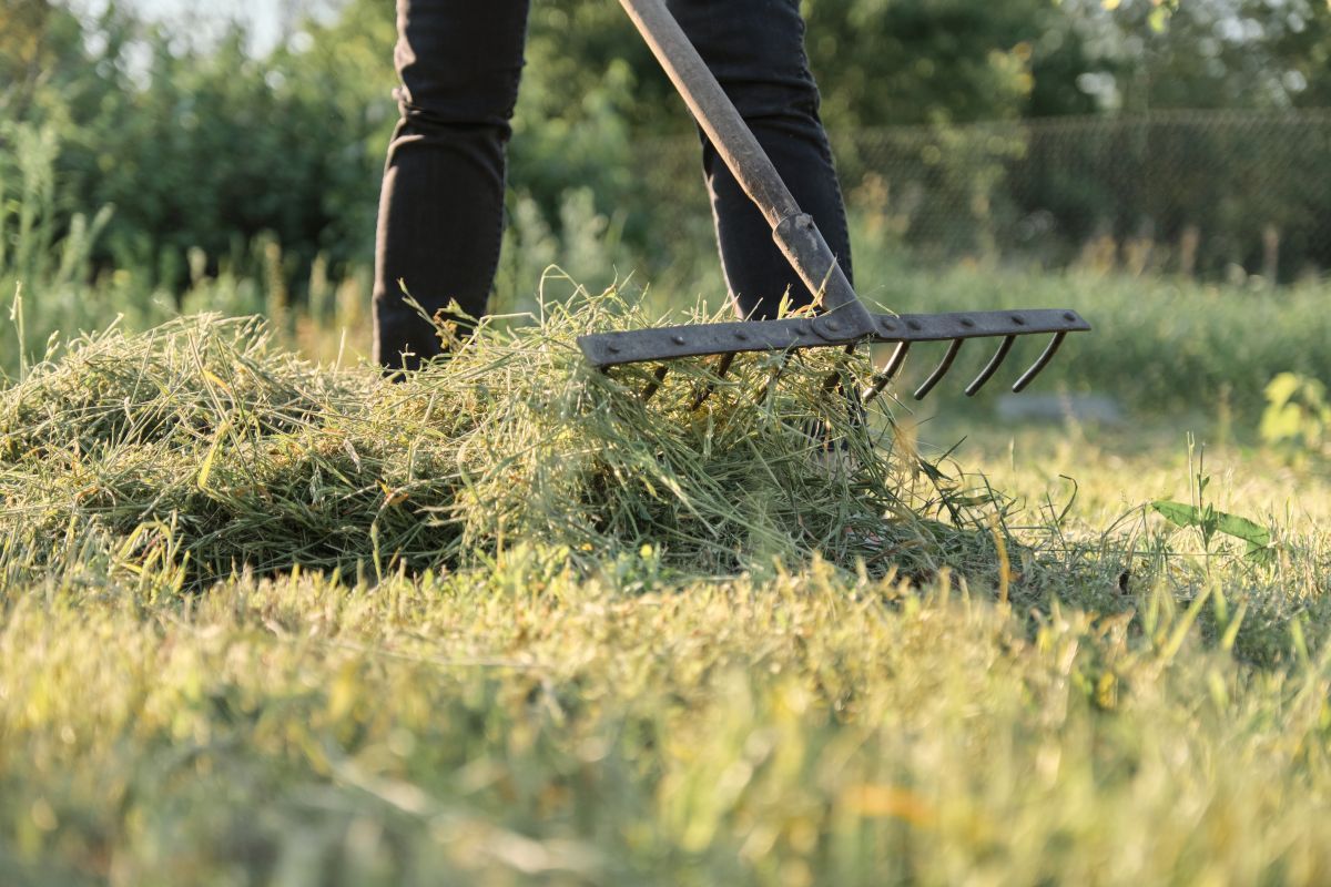 Moses Lake Spring Lawn Care Checklist: When to Aerate, Dethatch & Overseed