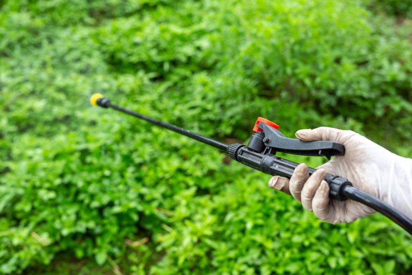 Pesticide Spraying