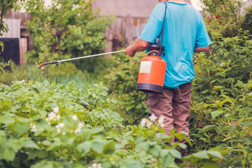 Insect Control
