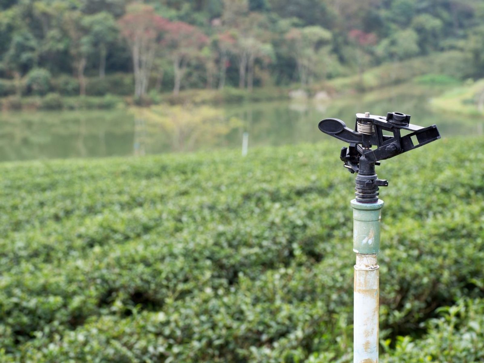 Irrigation Activation