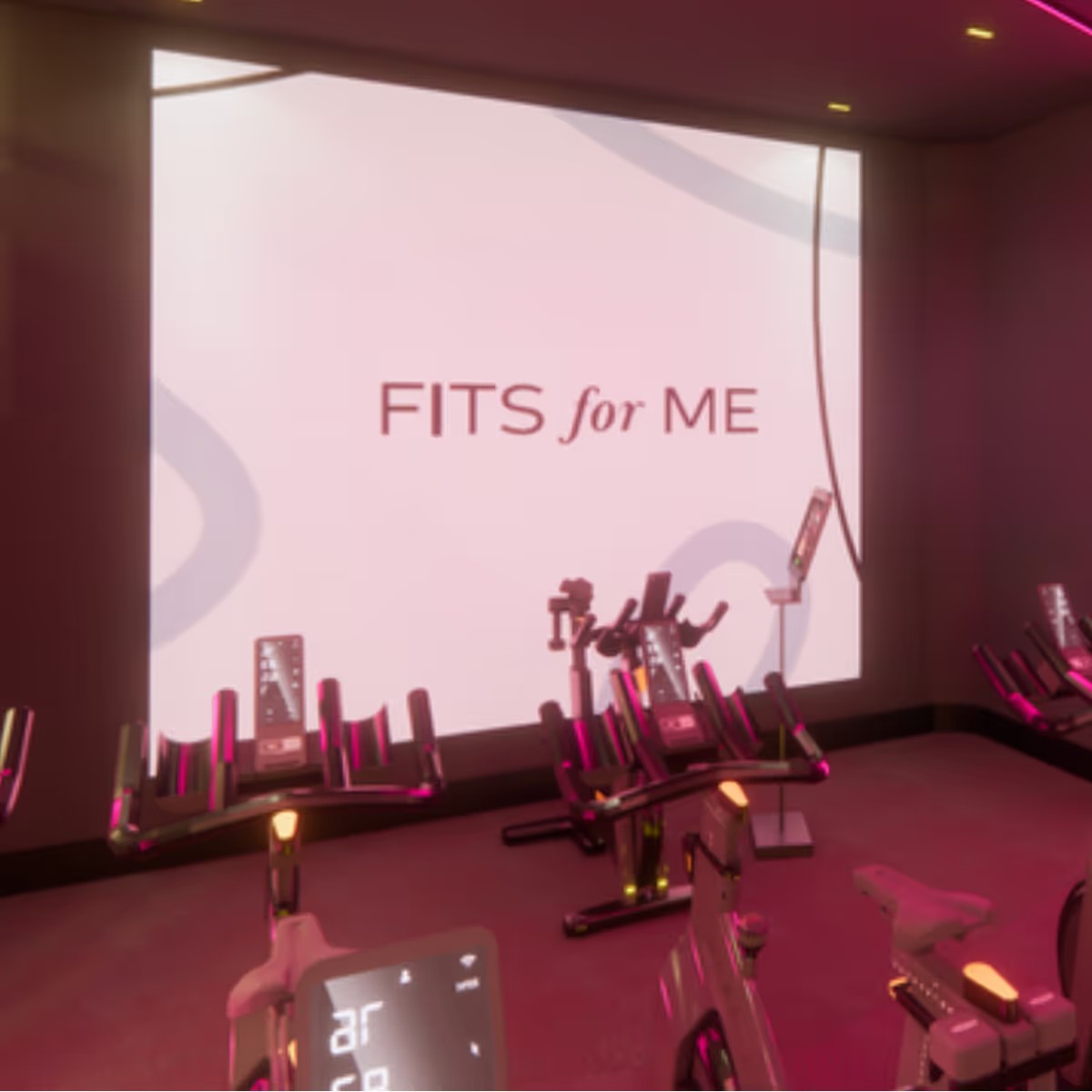 Indoor cycling class in pink light, bikes lined up in rows