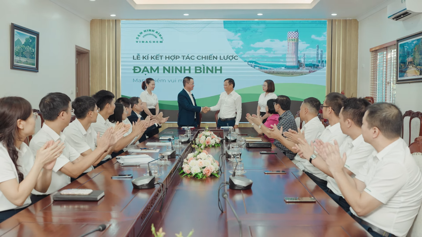 Đạm Ninh Bình - Phim 2024