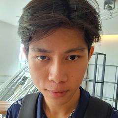 N.P Trung-Nguyen