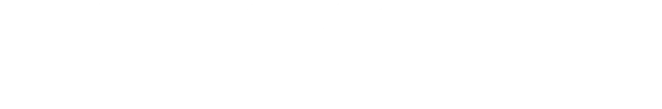Black Opal logo