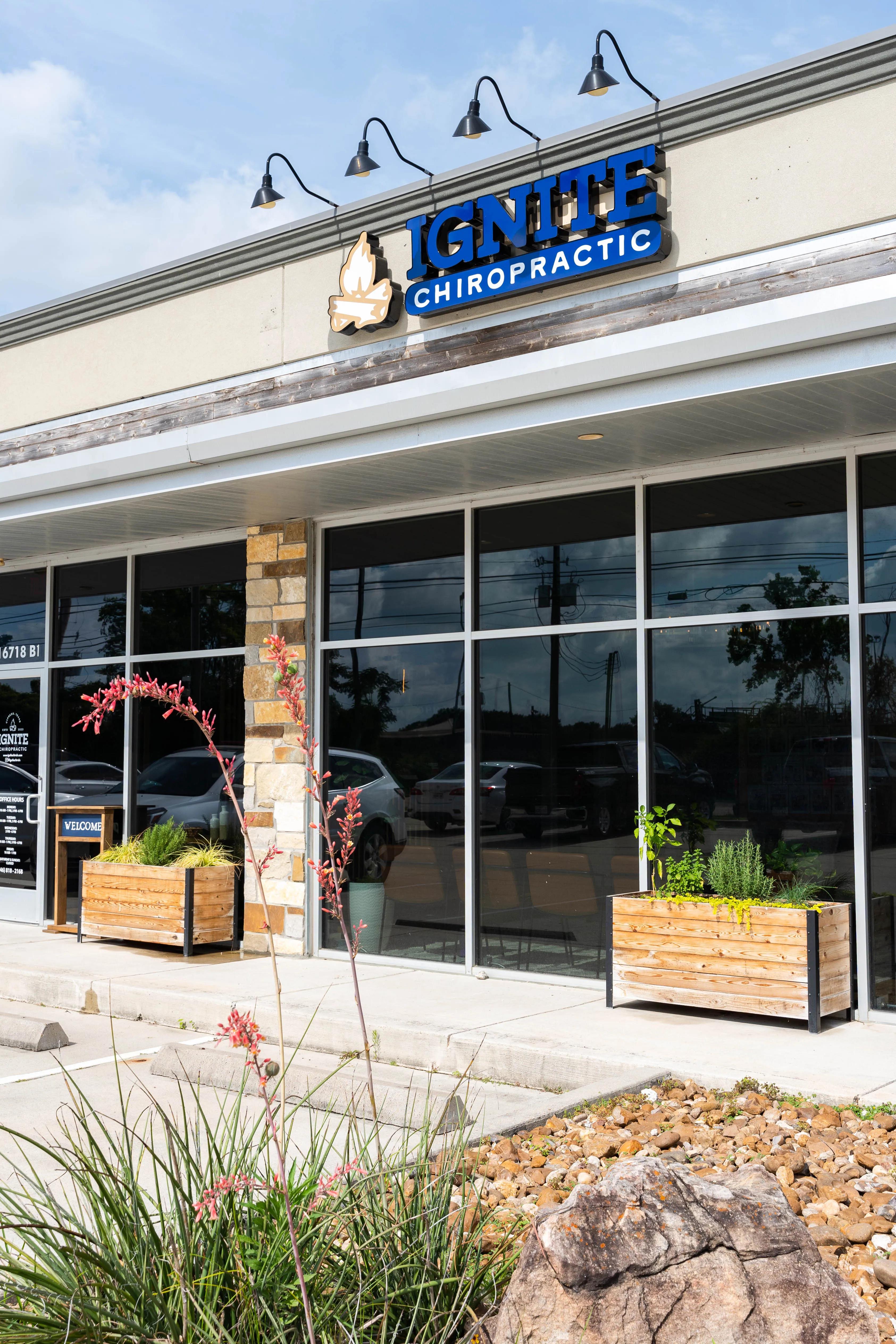 Ignite Chiropractic service pages featuring Zone Technique and family wellness care with educational resources