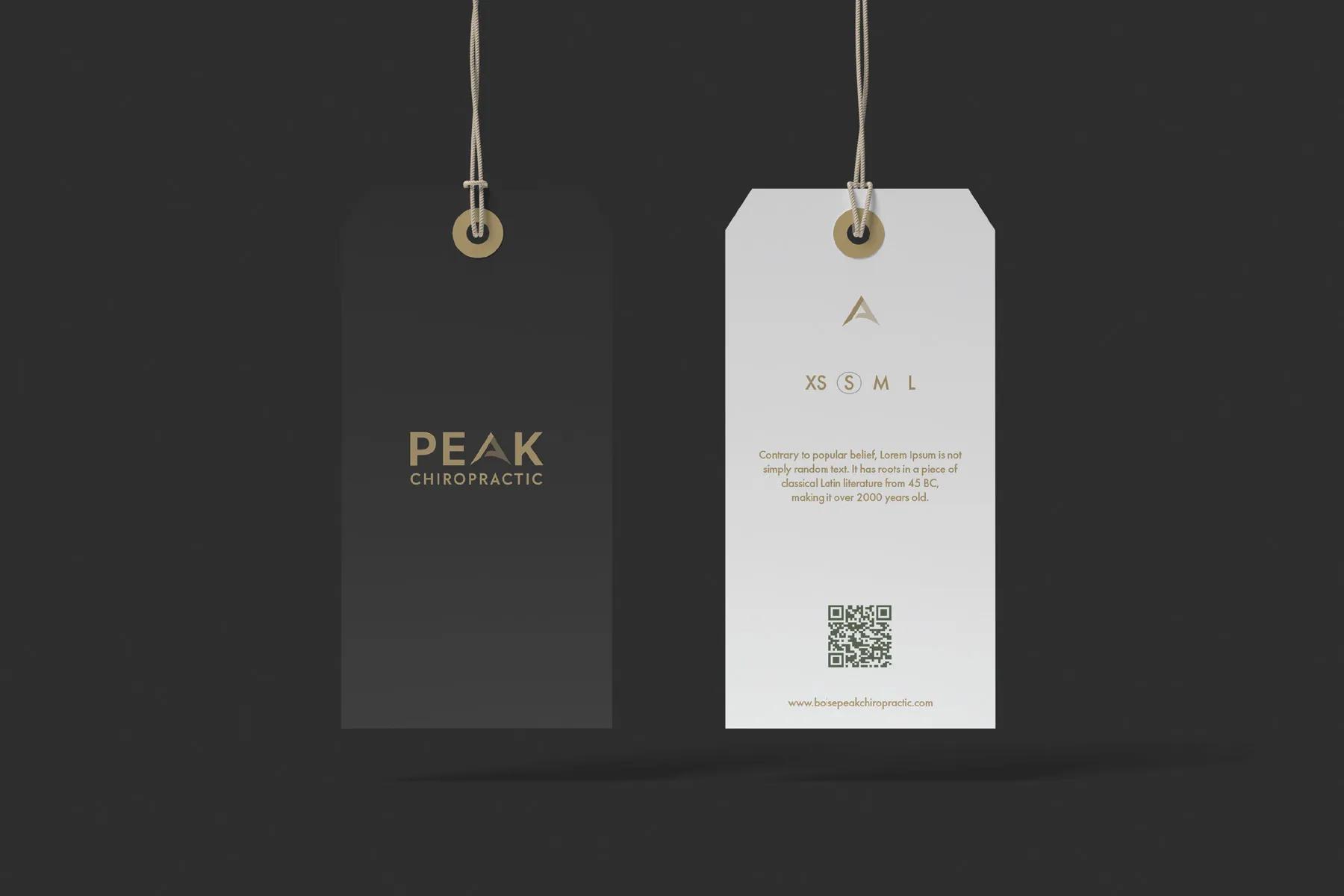 Peak Upper Cervical Chiropractic website homepage featuring modern Webflow design and upper cervical care information for Boise Idaho patients