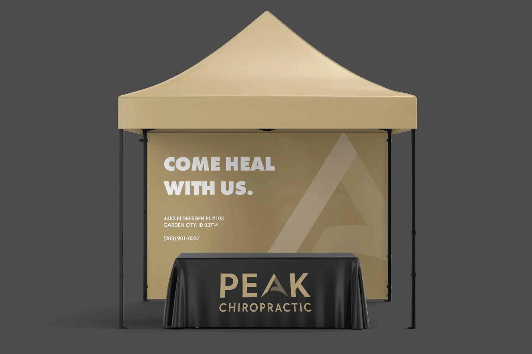 Peak Upper Cervical Chiropractic website homepage featuring modern Webflow design and upper cervical care information for Boise Idaho patients