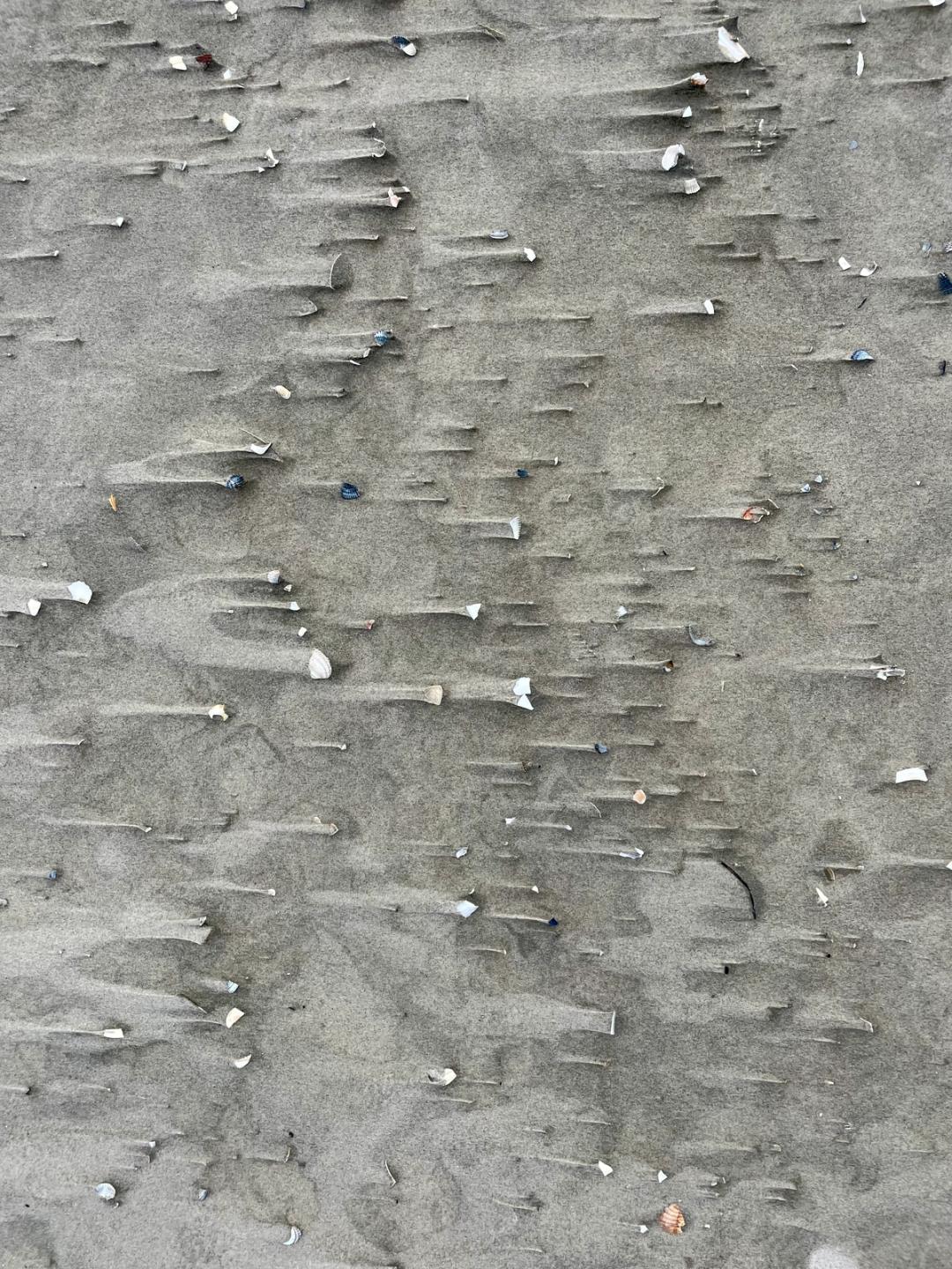 beach-patterns-photo-2