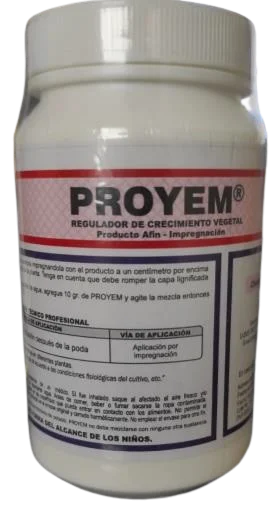 PROYEM